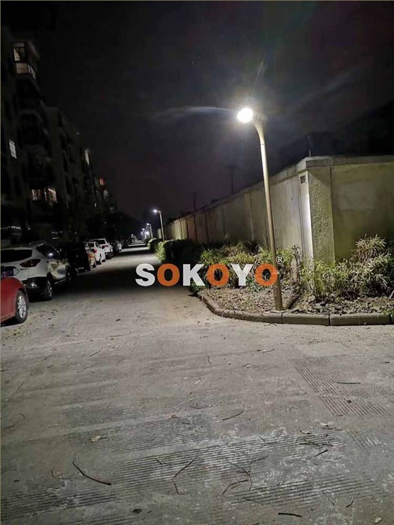 江苏苏州某小区3m220V红掌市电庭院灯