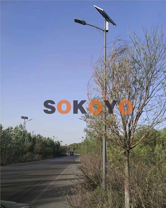吕梁岚县和谐号10米太阳能路灯